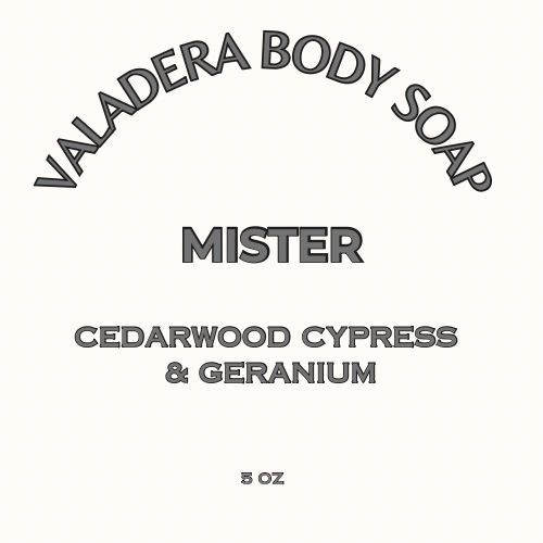 MISTER SOAP 5 OZ